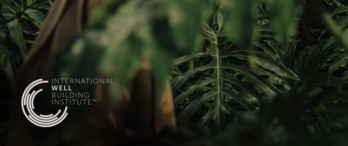 Padrão Laguna - Bem estar