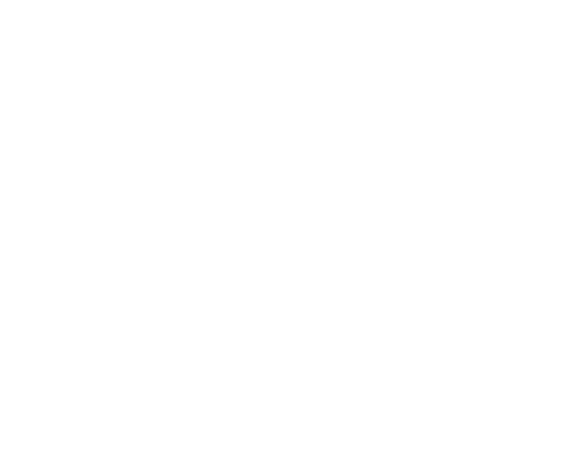 Logo PINAH